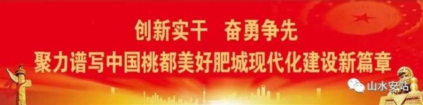 肥城市政协到安临站镇调研协商议事室建设工作