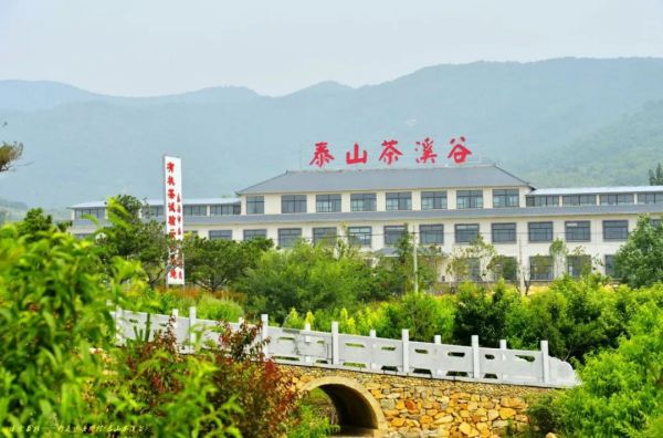 研学去哪？山东泰安推出首批中小学精品研学课程（线路）